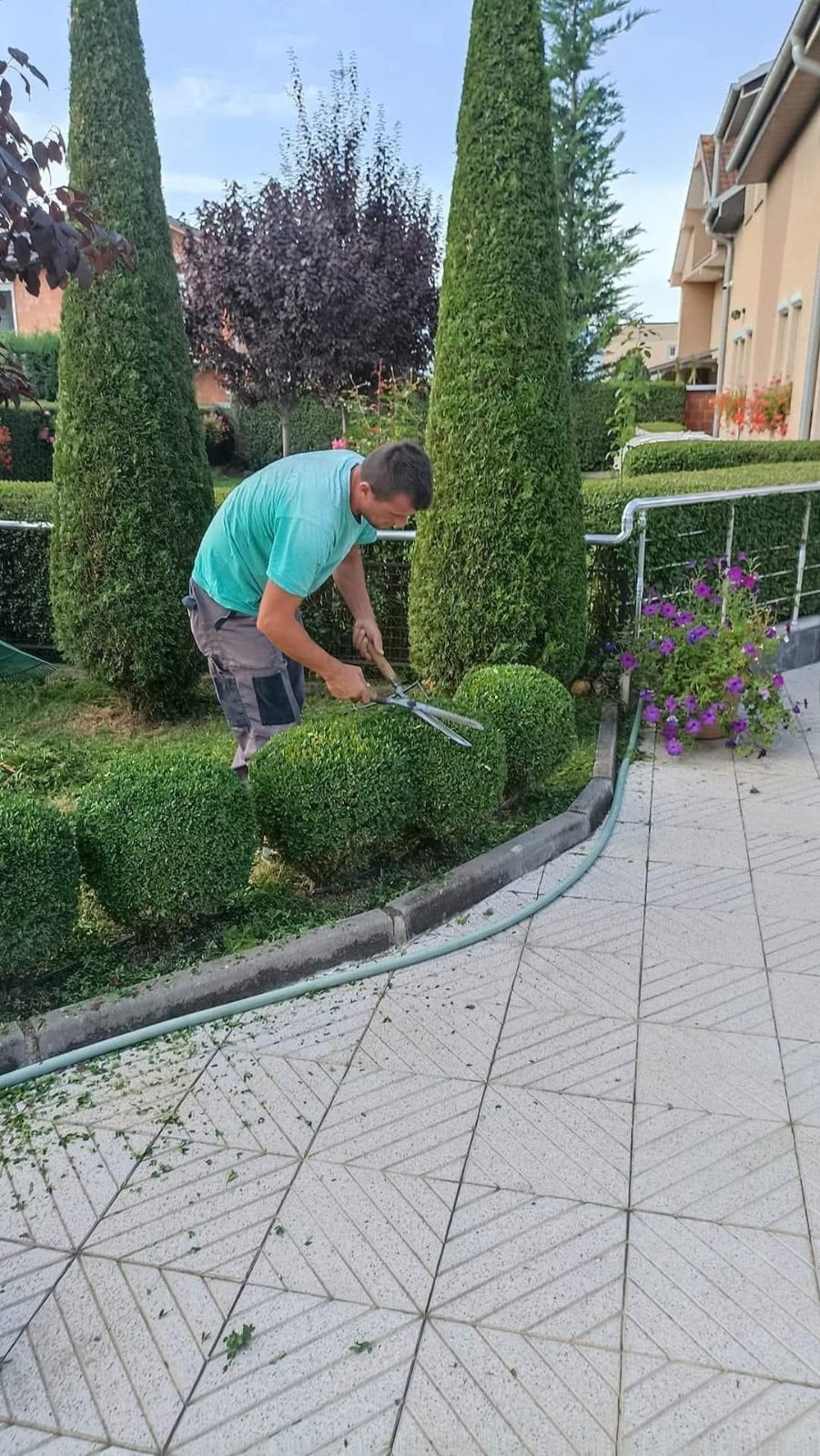 Punë e Elvisi Garden, foto 1