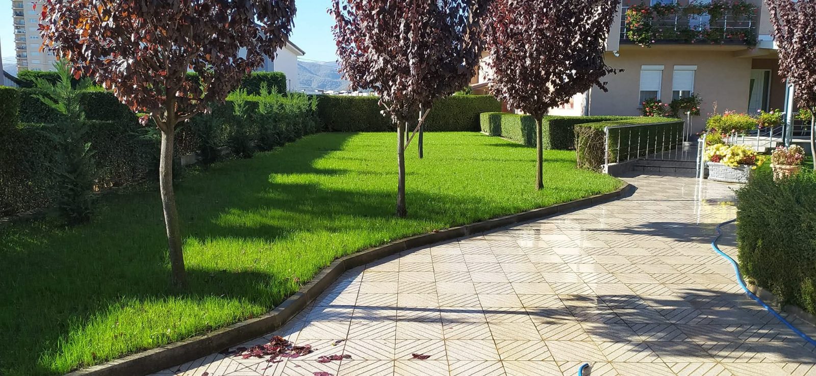 Punë e Elvisi Garden, foto 4