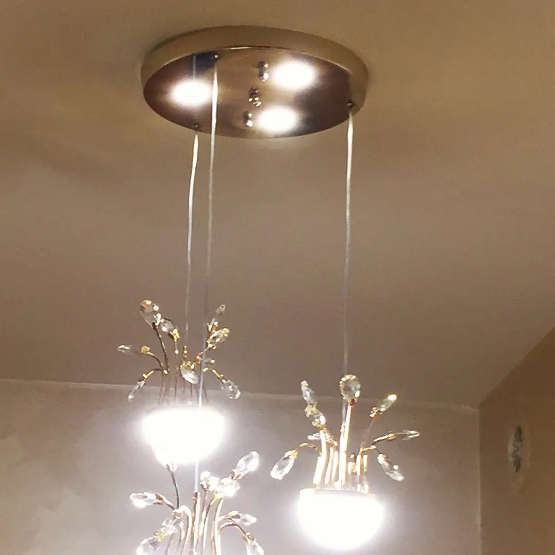 Punë e Leutrim Trimi, foto 3