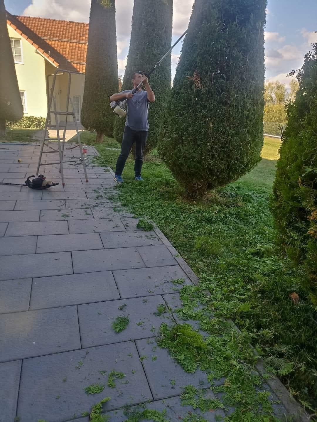 Punë e Elvisi Garden, foto 2