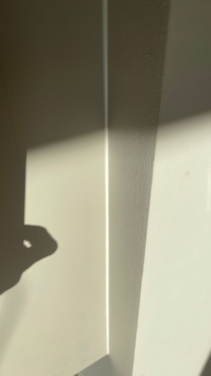 Punë e PRO.FUGA - Specialistë të Silikonit, foto 4