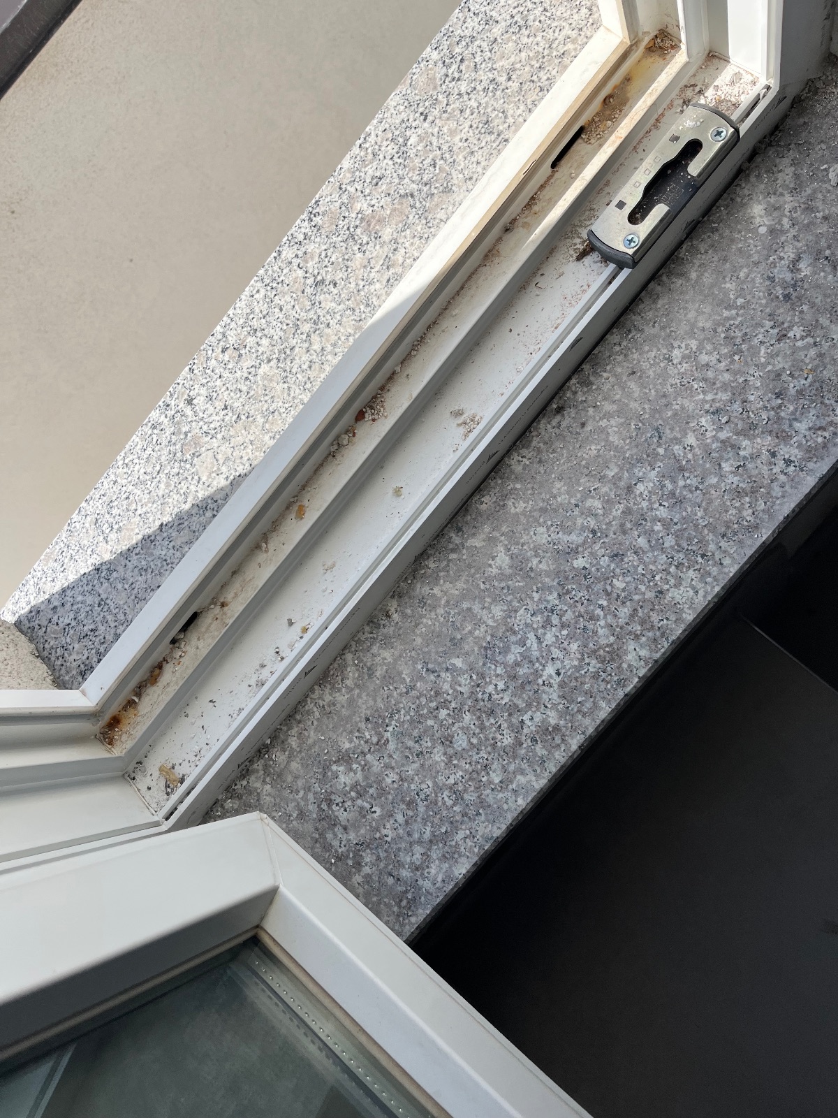 Punë e Kompania Pastrimit Albani Sh.P.K, foto 2